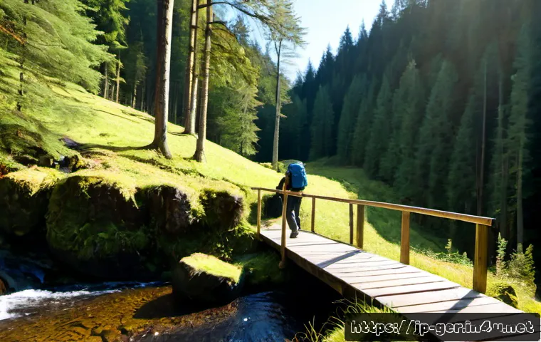 독일에서 도보 여행하기 좋은 루트 - Photorealistic wide-angle view of a solo adult hiker walking along a well-marked forest trail in Ger...